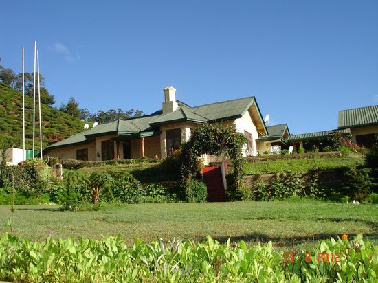 TEA BUSH HOTEL - NUWARAELIYA